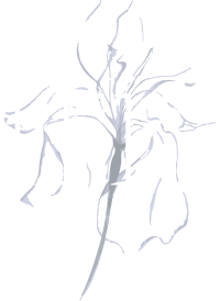 Iris nuove costruzioni lecce